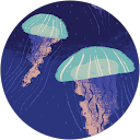 Stephen F. profile picture