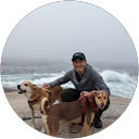 Adrian W. profile picture